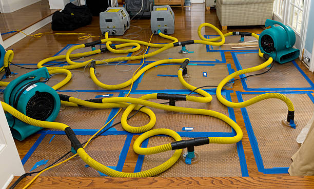 Professional Storm Water Damage Restoration technician working in Bridgewater, SD